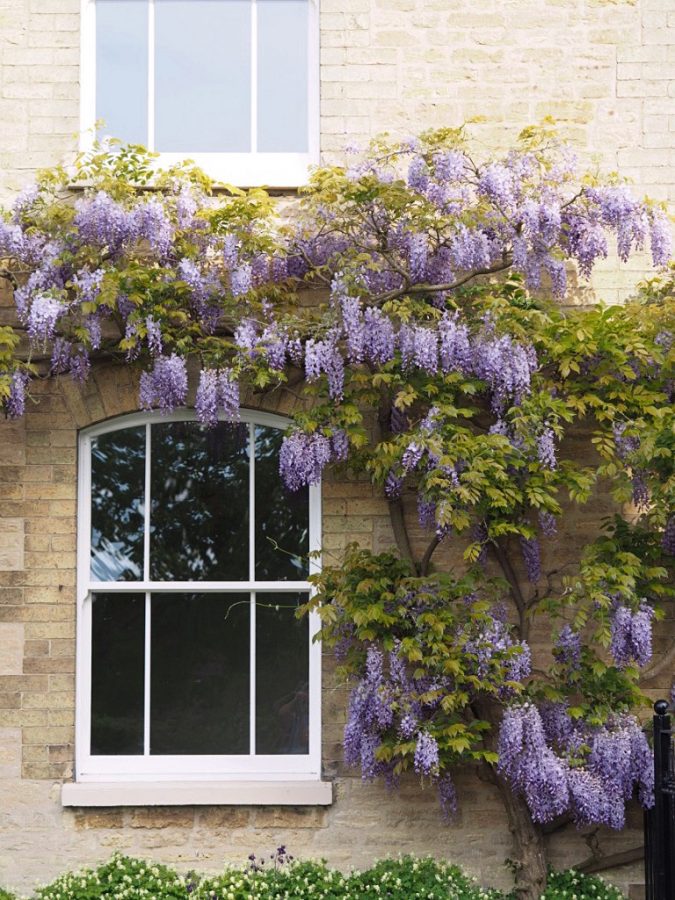 Roseview Sash Windows